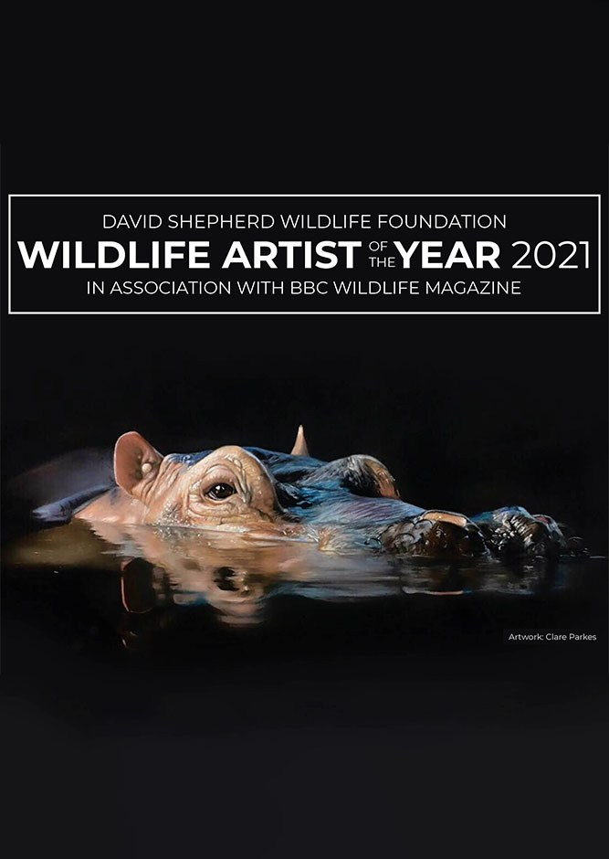 DSWF-Wildlife-Artist-of-the-Year-2021